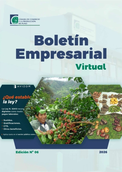 BOLETÍN SEMANAL N° 06-2026