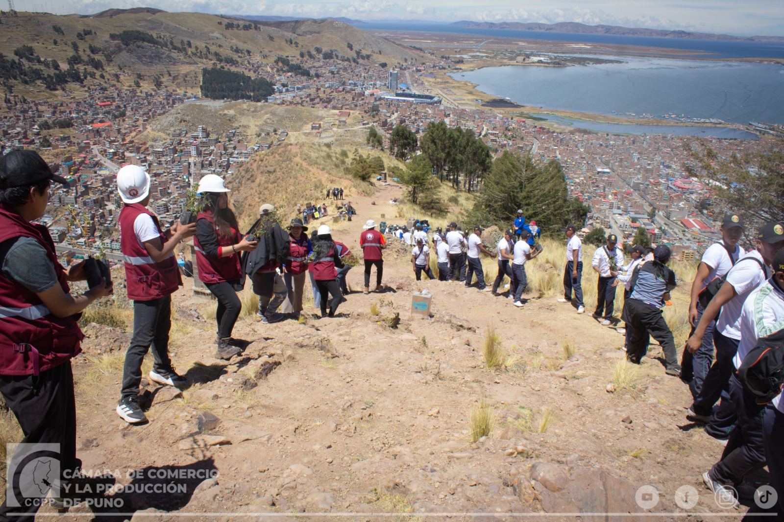 CÁMARA DE COMERCIO DE PUNO PARTICIPA EN JORNADA DE REFORESTACIÓN DEL CERRO AZOGUINI