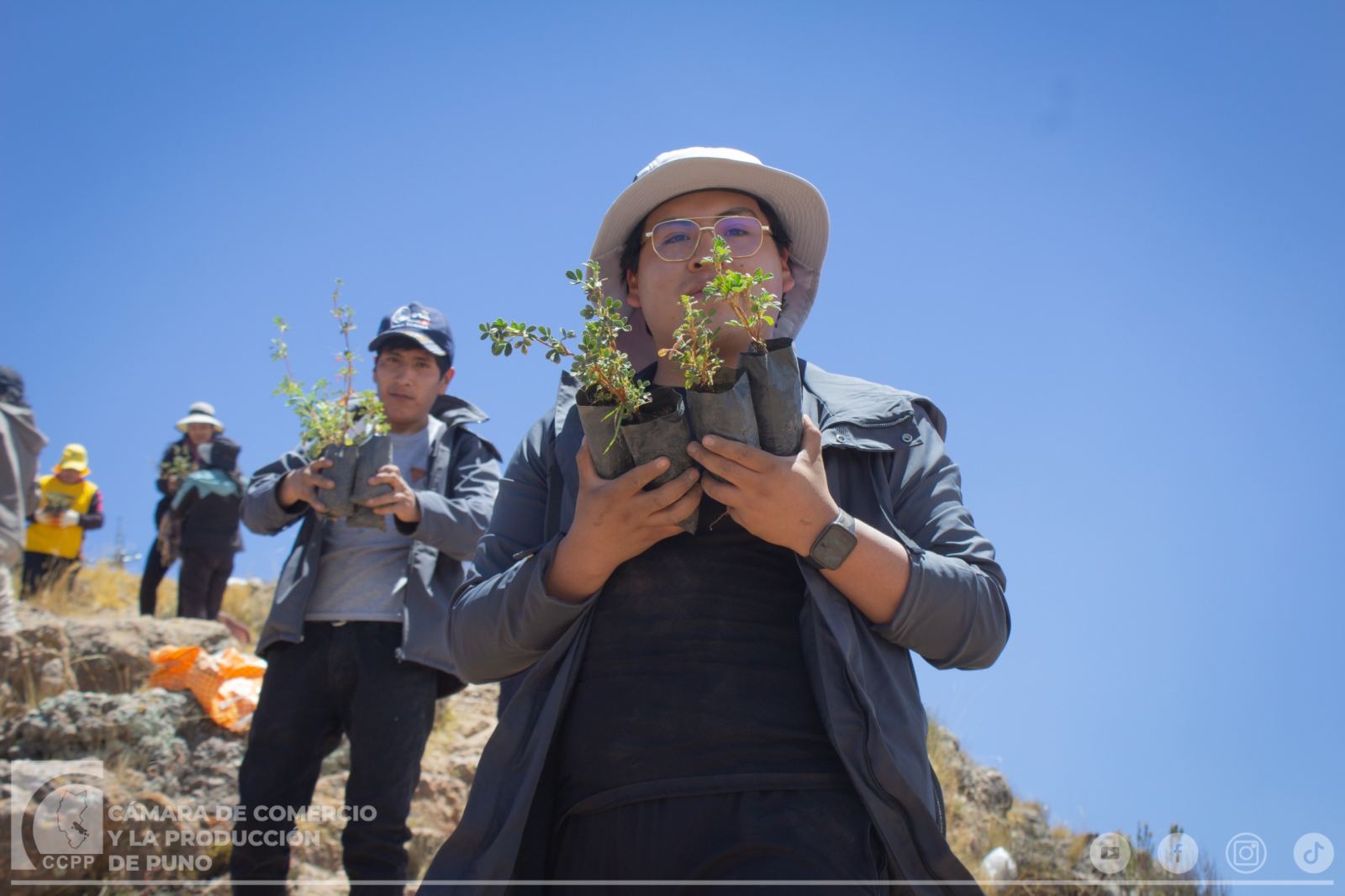 CÁMARA DE COMERCIO DE PUNO PARTICIPA EN JORNADA DE REFORESTACIÓN DEL CERRO AZOGUINI