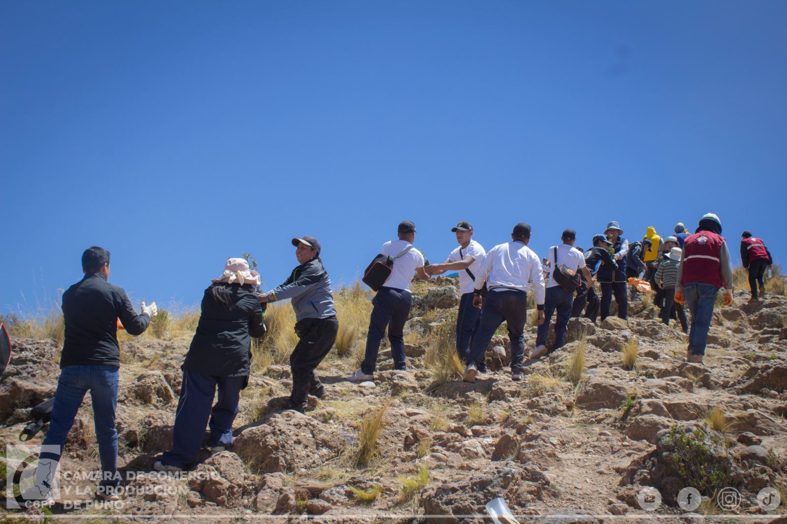 CÁMARA DE COMERCIO DE PUNO PARTICIPA EN JORNADA DE REFORESTACIÓN DEL CERRO AZOGUINI