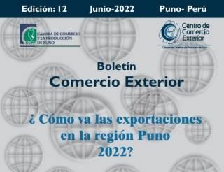 BOLETÍN COMERCIO EXTERIOR Nº 12